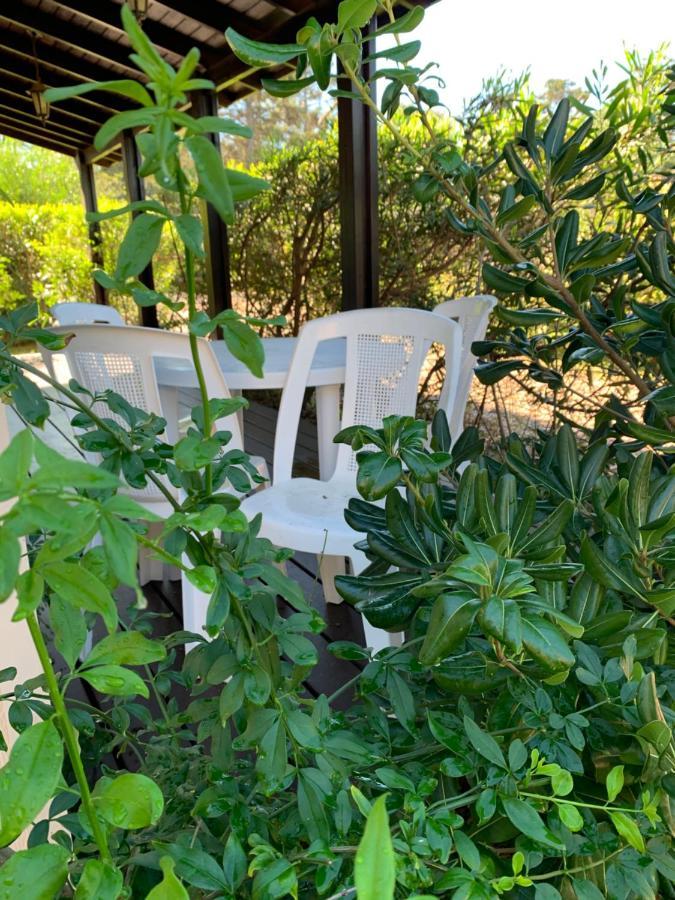 Cabanas Del Este Sauce de Portezuelo Luaran gambar